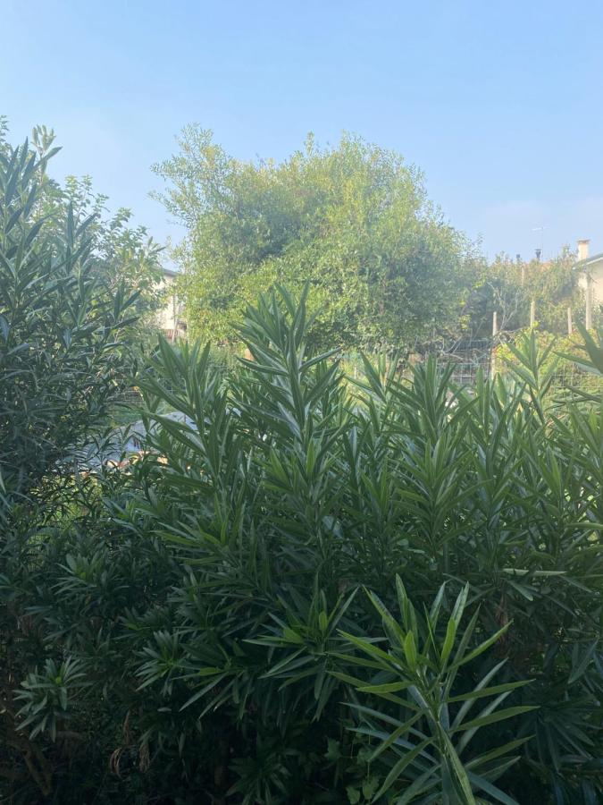 B&B Le Rose Villafranca Padovana Екстер'єр фото